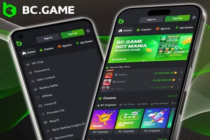 Exploring BC.Game Mirror Site Your Gateway to Online Gaming